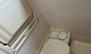 IMG-20250909-WA0047