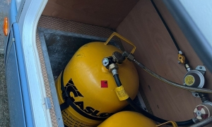 WhatsApp Image 2026-02-04 at 16.49.52